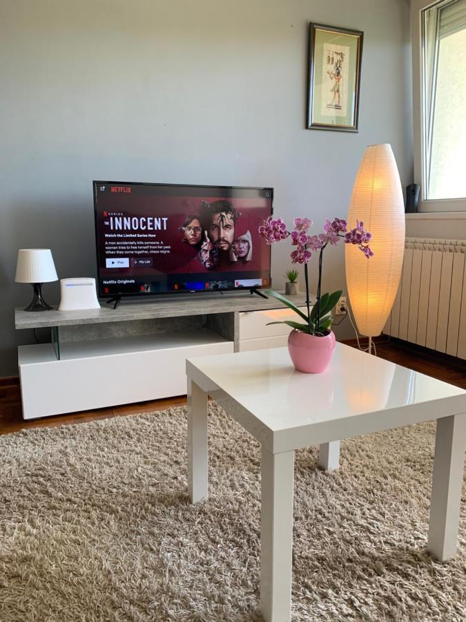 Sunkissed Apartment 베오그라드 외부 사진